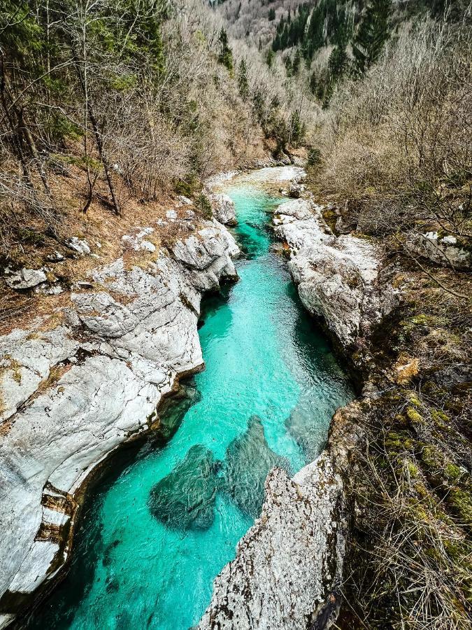 Apartments Mala Korita Soce Soča Eksteriør billede