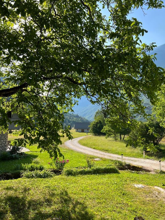 Apartments Mala Korita Soce Soča Eksteriør billede