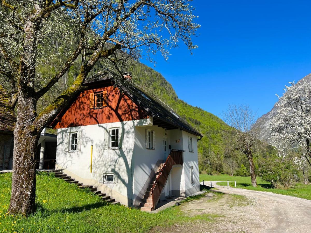 Apartments Mala Korita Soce Soča Eksteriør billede