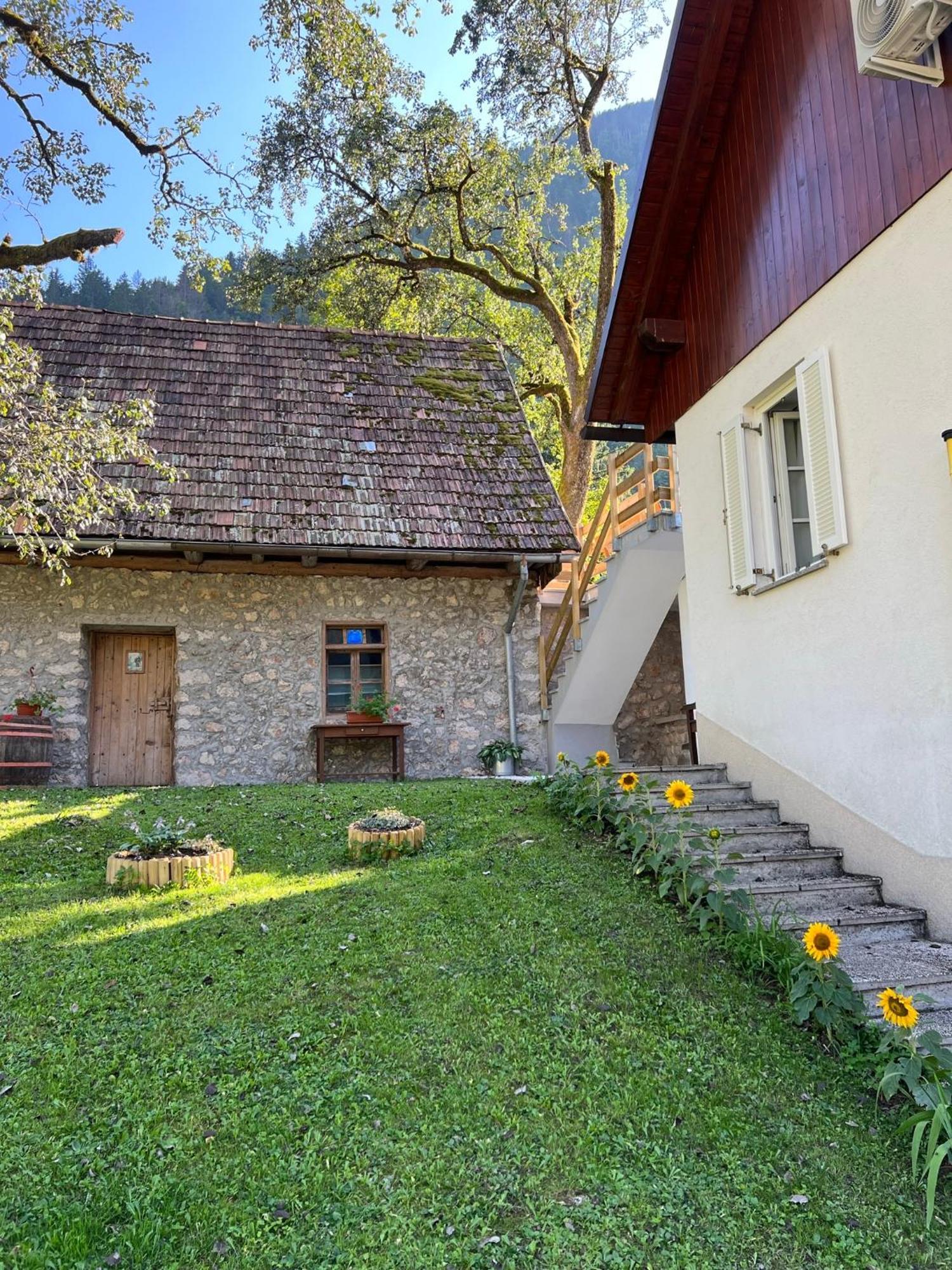 Apartments Mala Korita Soce Soča Eksteriør billede