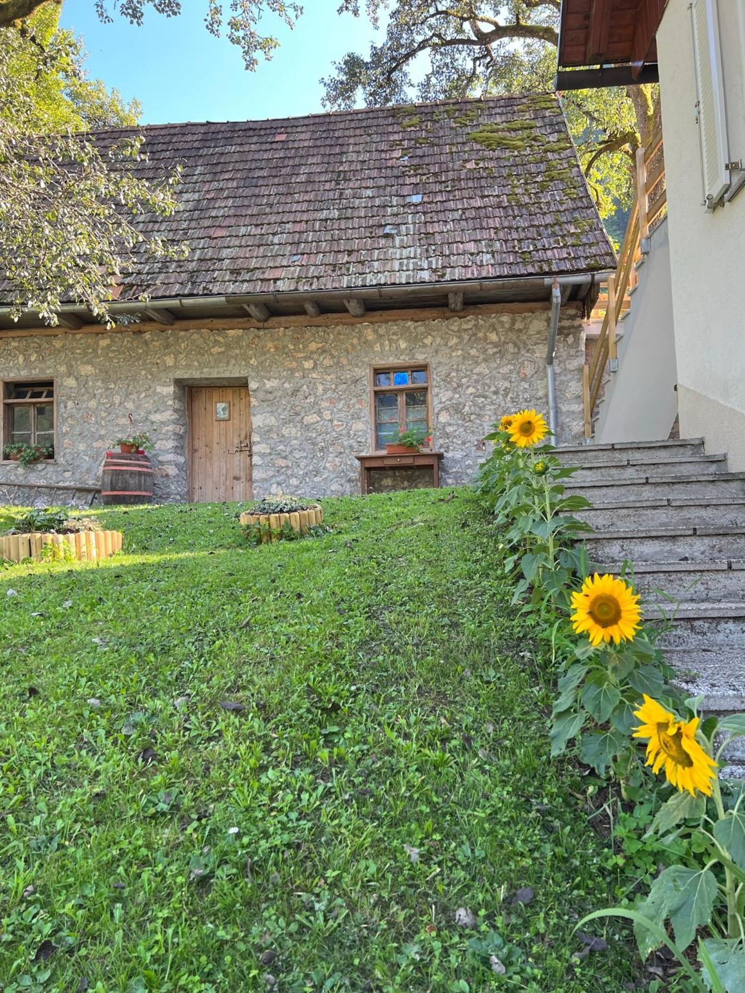 Apartments Mala Korita Soce Soča Eksteriør billede